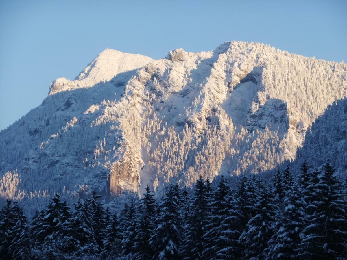 Apartmán Haus Bergschmied Inzell Exteriér fotografie